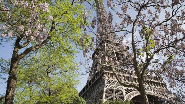 Meilleure eSIM Europe 2026 : Airalo, Saily ou Holafly ? Notre comparatif